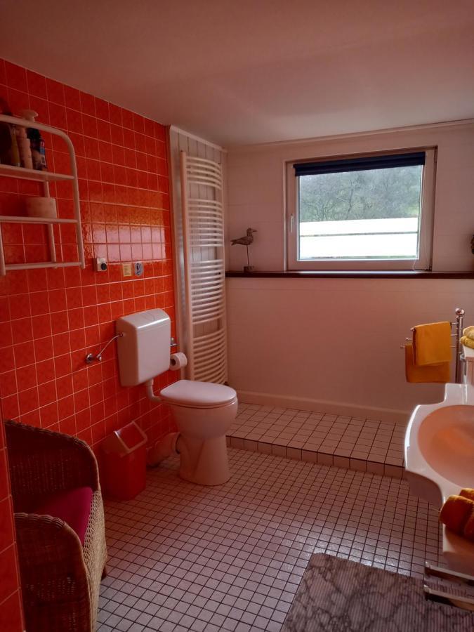 Ferienwohnung Agnes Nonnweiler エクステリア 写真